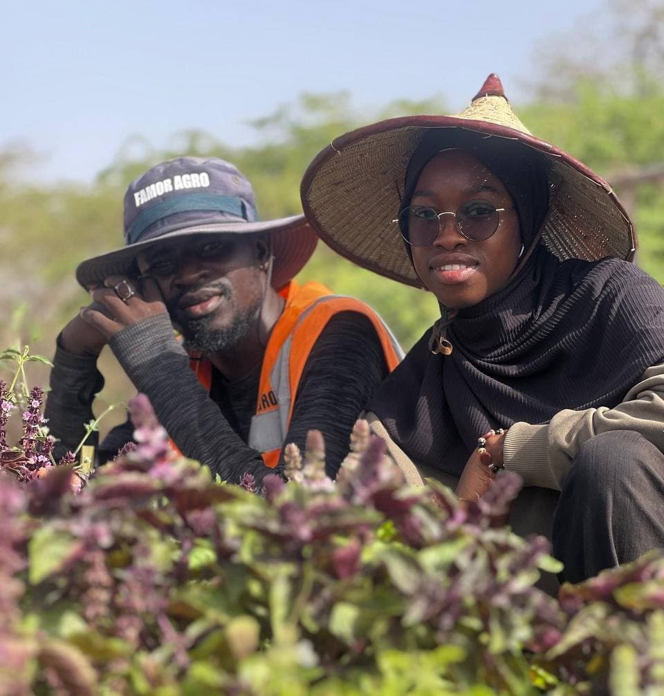 Champs agricoles au Sénégal